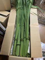 乾燥　真菰葉　　1kg