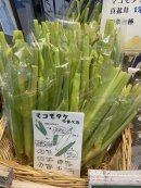 画像: 真菰茸出来てきました。