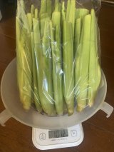 画像: マコモダケ　1キロ　