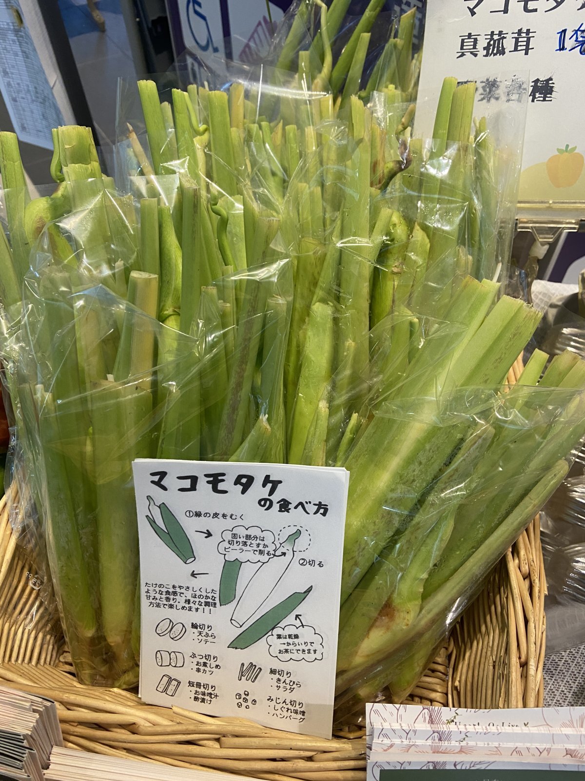 画像: 真菰茸出来てきました。